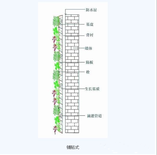 立面綠化的六種做法