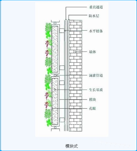 立面綠化的六種做法