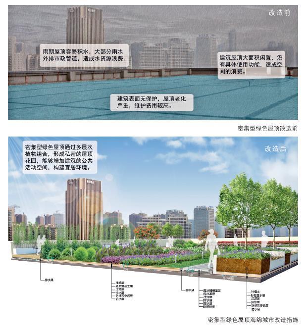 海綿城市建設(shè)：屋頂綠化解決方案